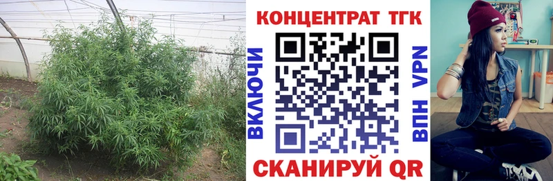 Дистиллят ТГК жижа  купить наркоту  Ливны 